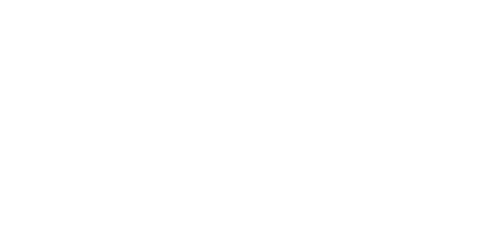 Sholay Enterprises